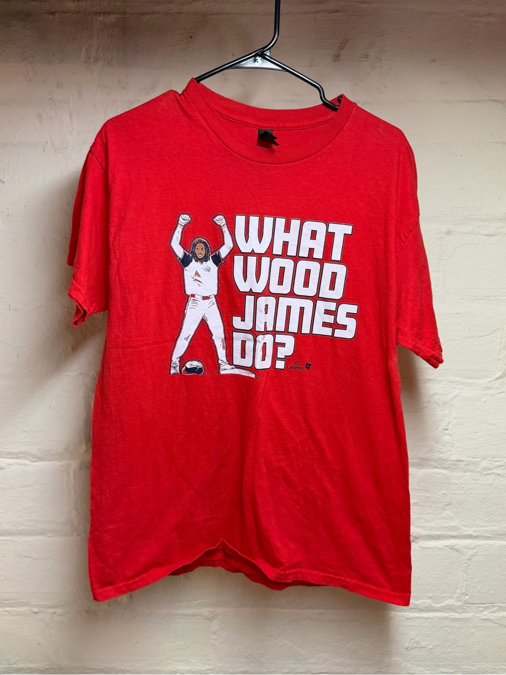 Washington Nationals "What Wood James Do?"